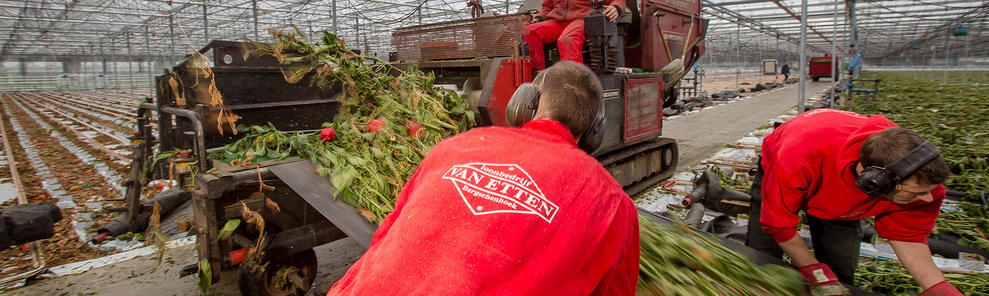 Loonbedrijf van Etten gespecialiseerd in teeltwisseling tuinbouw